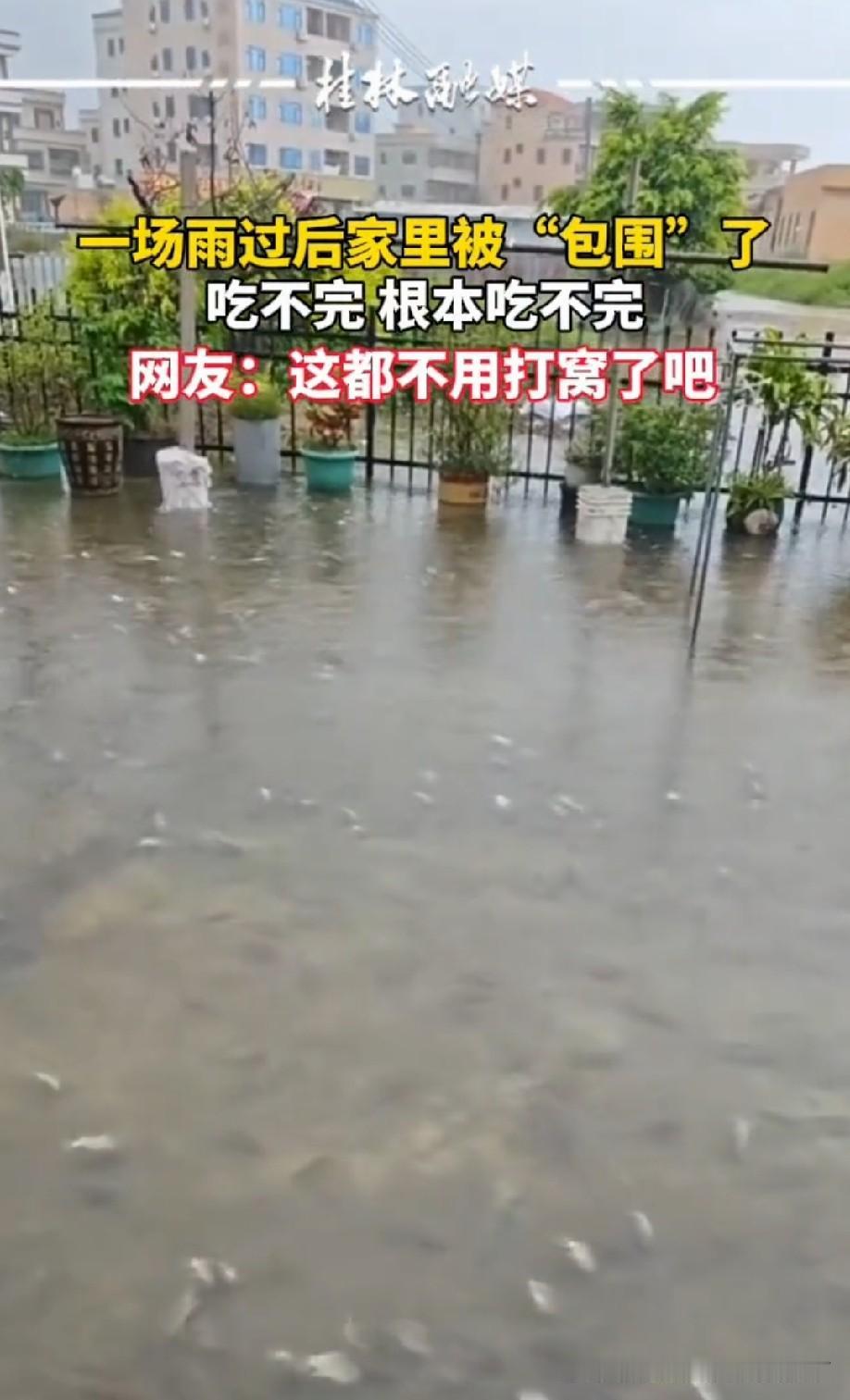 赶紧抛一杆啊，钓鱼佬狂喜！