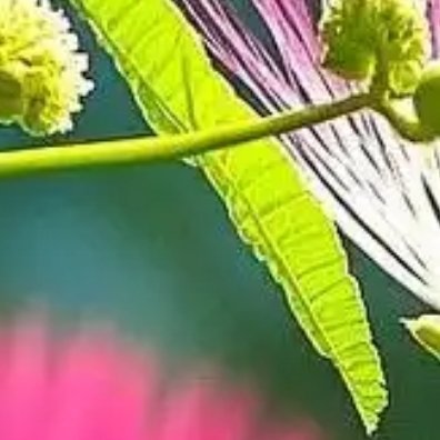 每日一善 ☀每日一善 人间烟火处，善意最动人。从一件小事开始践行善良，一句鼓励的