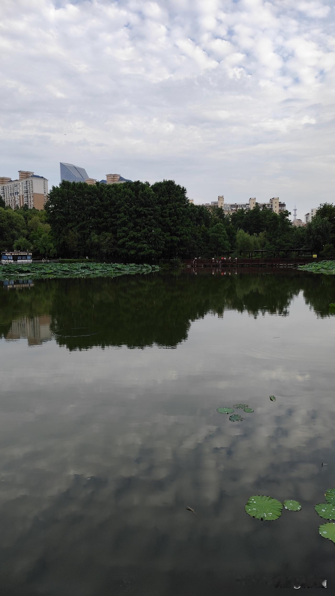 鲁迅先生的名言哪一句你记得最清楚横眉冷对千夫指，府首甘为孺子牛