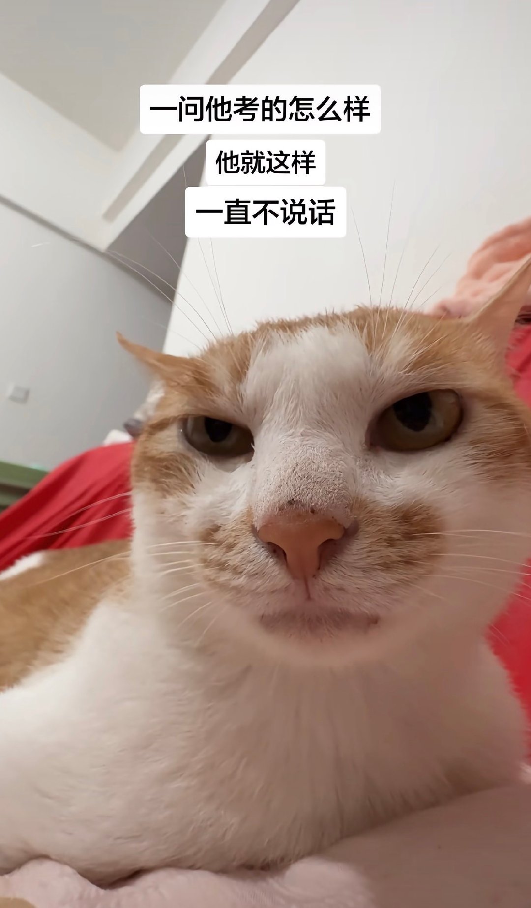 分享图片 