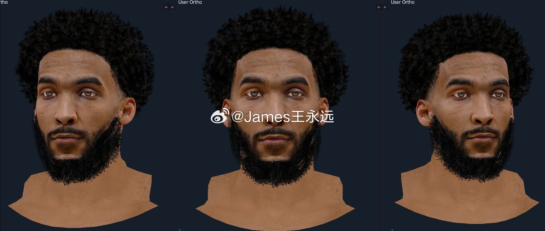 2K14 贾斯汀-尚帕尼 面补 