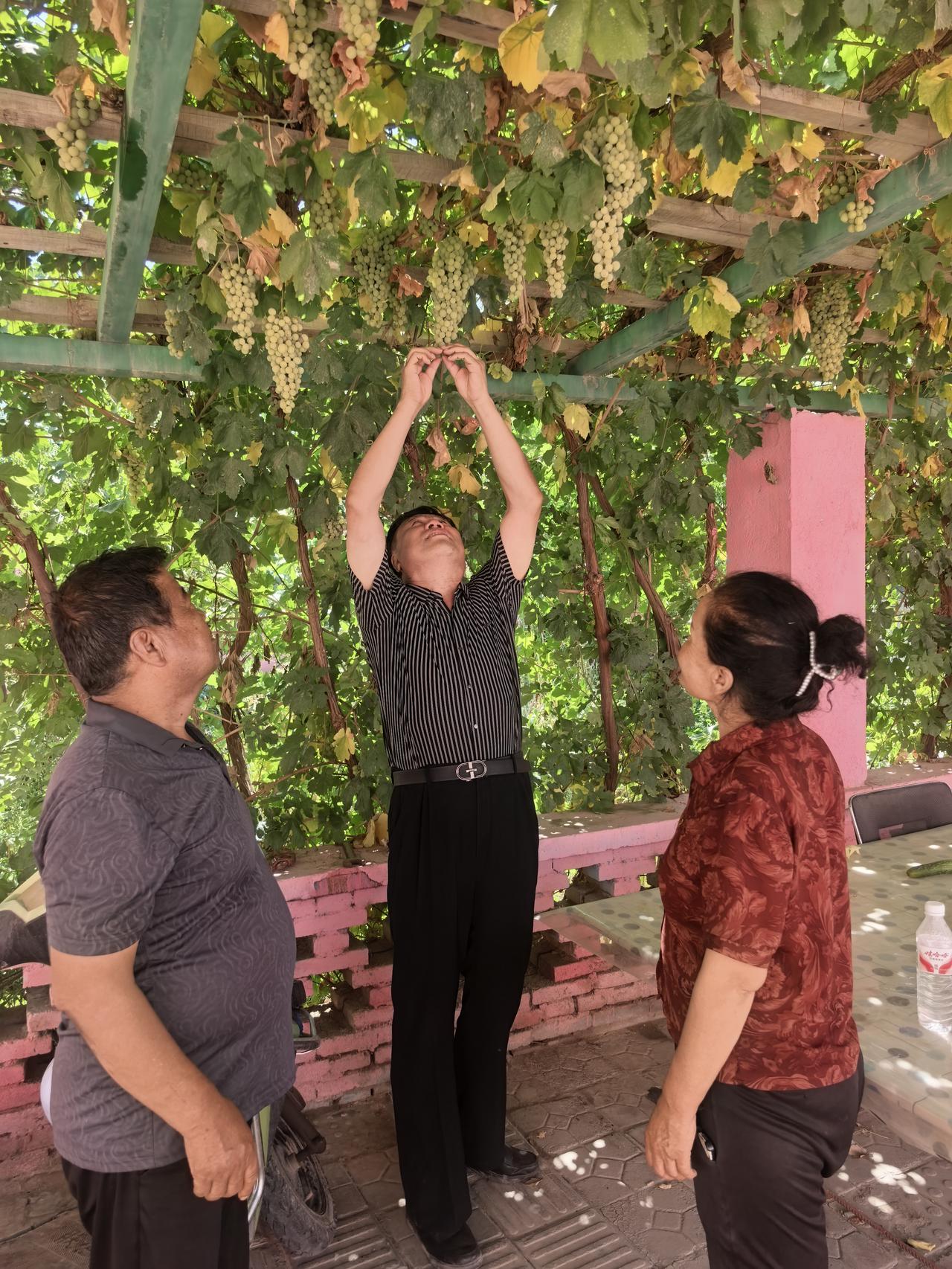 傈僳族，是怎么来的
 
傈僳族主要分布在云南怒江、丽江以及四川西南部，是西南古老