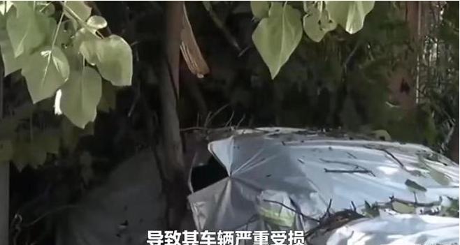 “讹天讹地讹空气！”广东佛山，男子将迈巴赫停在邻居家别墅门口，不料遭遇台风，车子