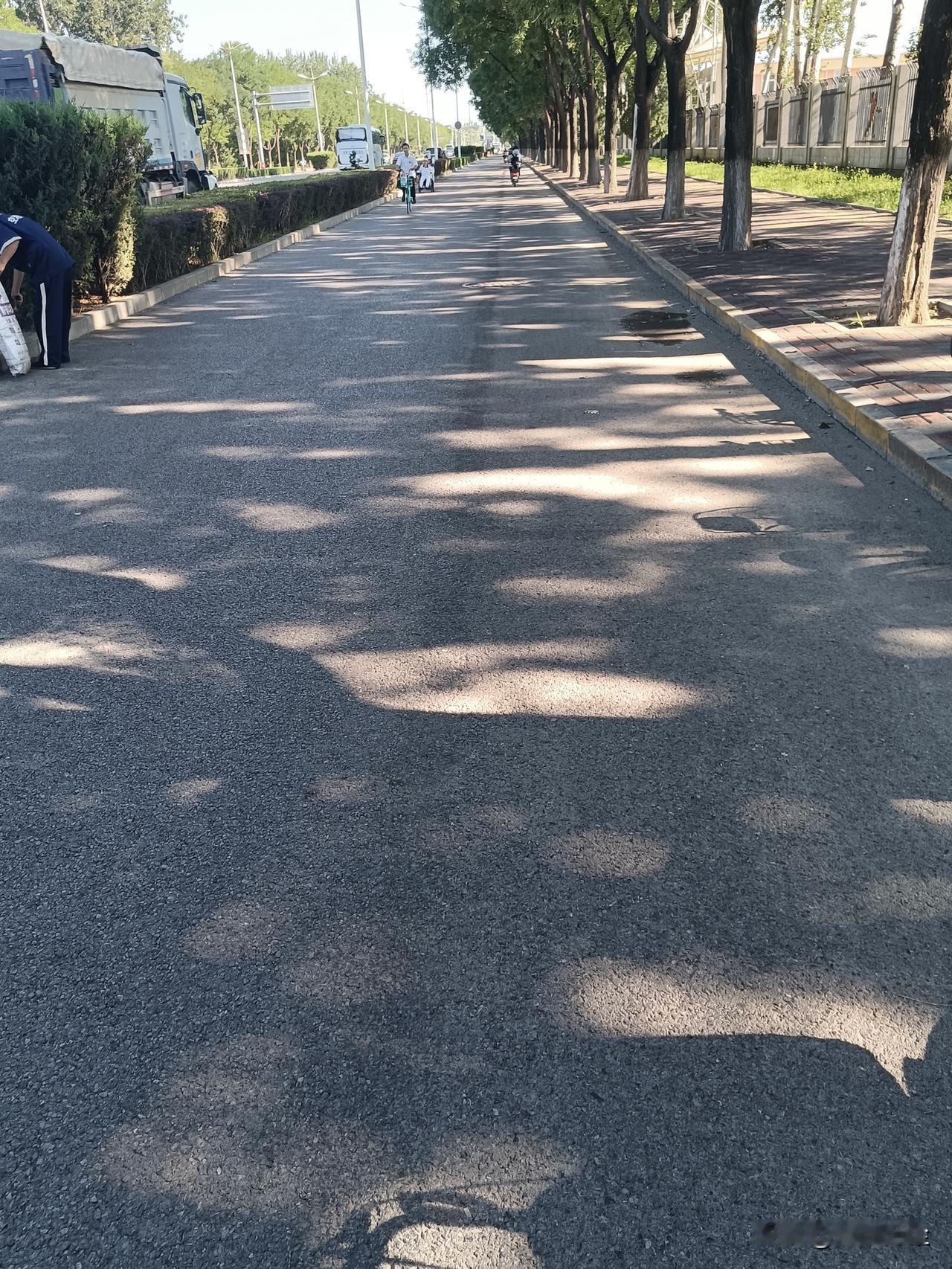 在北京开车，我觉得可能会容易些，你看非机动车道都这么宽阔，能并排走两辆车，大家局