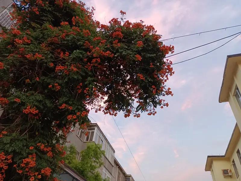 “请说欢迎夏总回家过年”火了，这事儿挺有意思。一名网友向新建文旅账号语带“威胁”