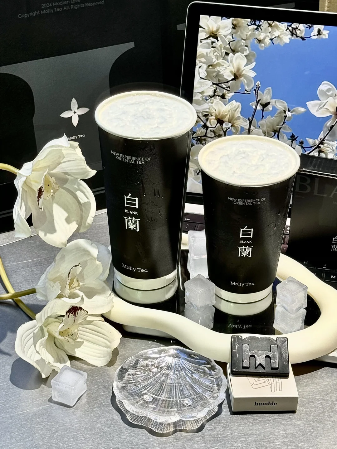 报！8月茉莉奶白喝什么？！看这篇测评就够了！