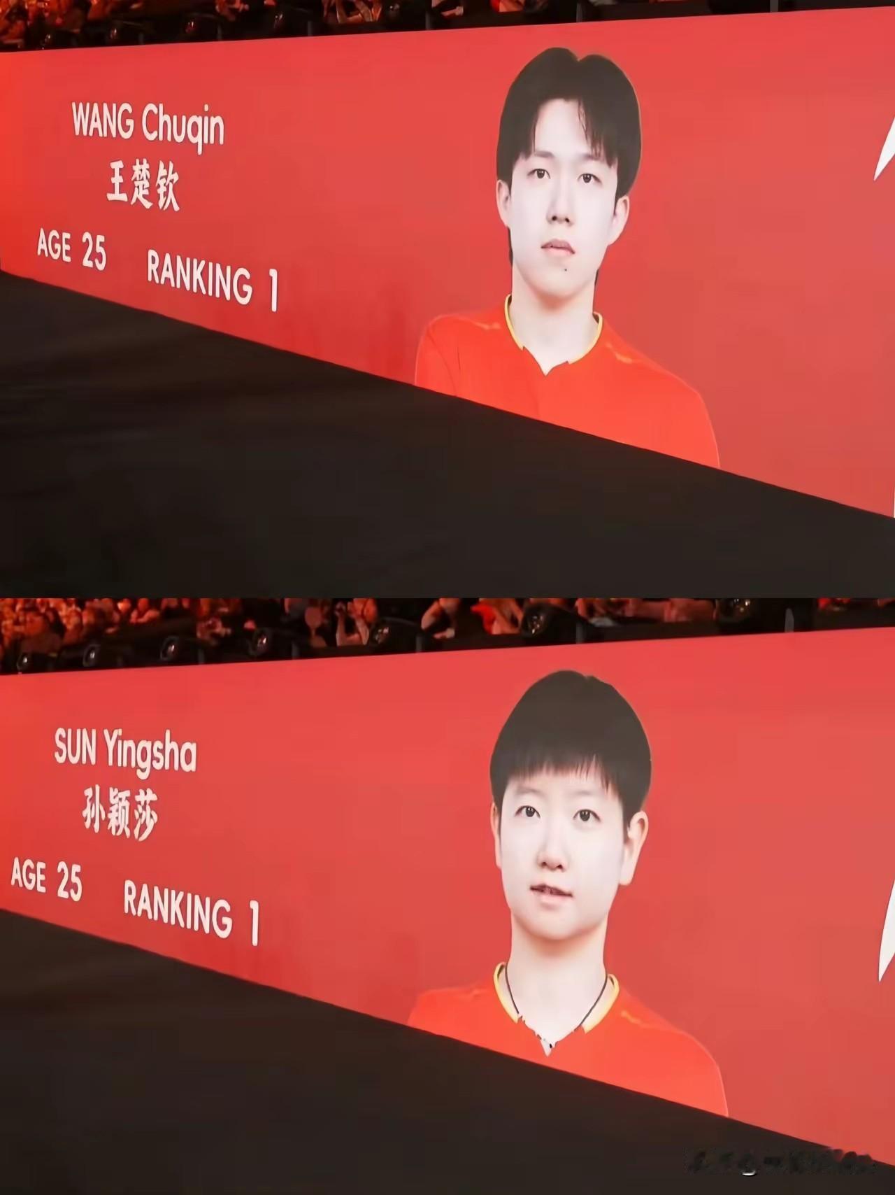 今日，莎头组合在澳门世界杯单打赛场上，将“惊心动魄”“令人窒息”这两个成语诠释得