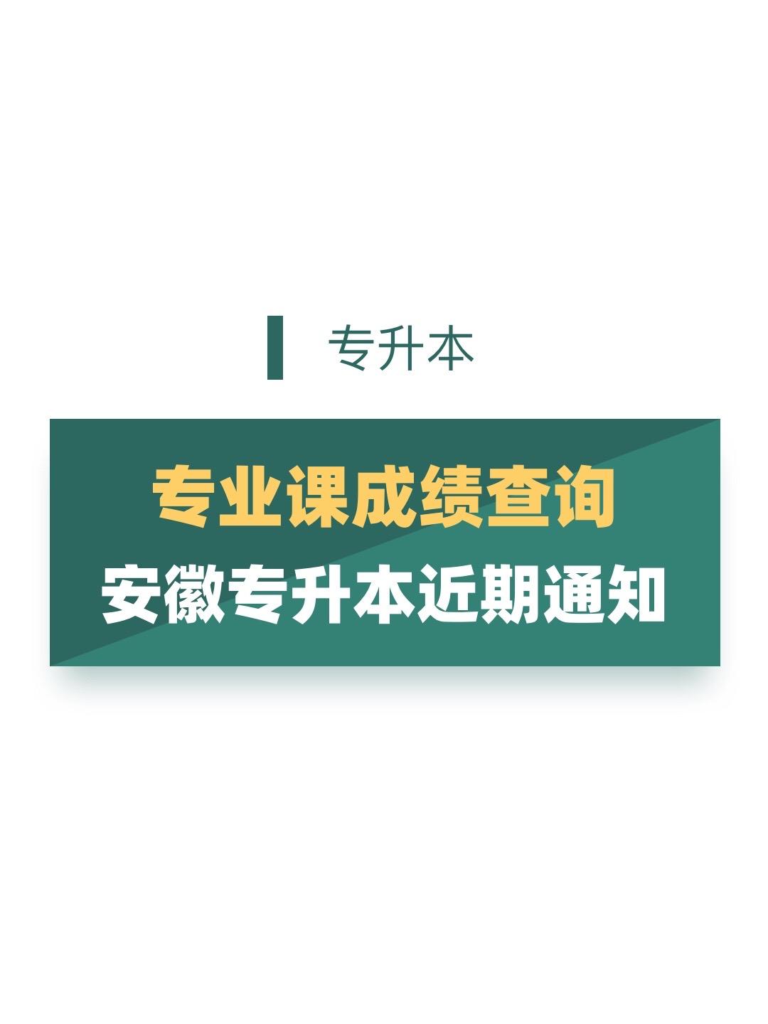 专业课成绩查询。