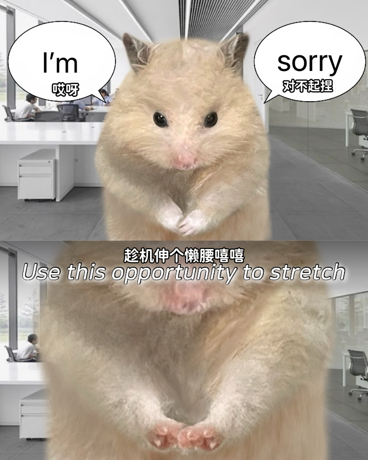 勤勤恳恳的社畜小鼠𝐛𝐚𝐦𝐭𝐨𝐫🐹🌰©𝐛𝐚𝐦𝐭𝐨𝐫._