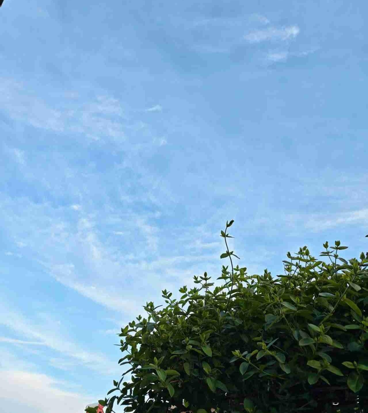 今天是5月21日，星期四，小满，小满万物小得盈满。
今天我们这里的天气特别好，晴