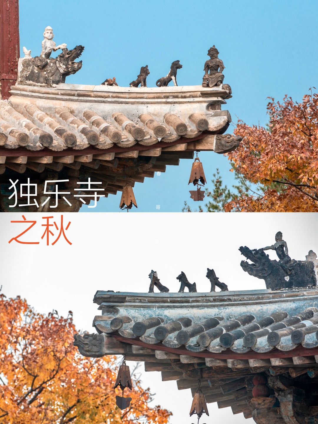 不愧梁思成所言“罕有宝物”，每个角落皆看点