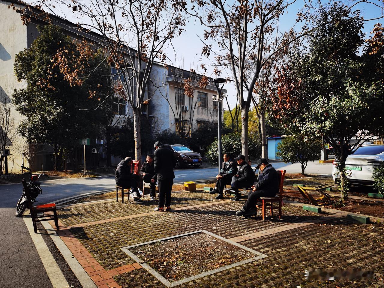 《寒潮后老人草坪晒太阳》
寒潮退却沐朝晖，三五成群佝偻围。
莫道筋骸如槁木，胸中