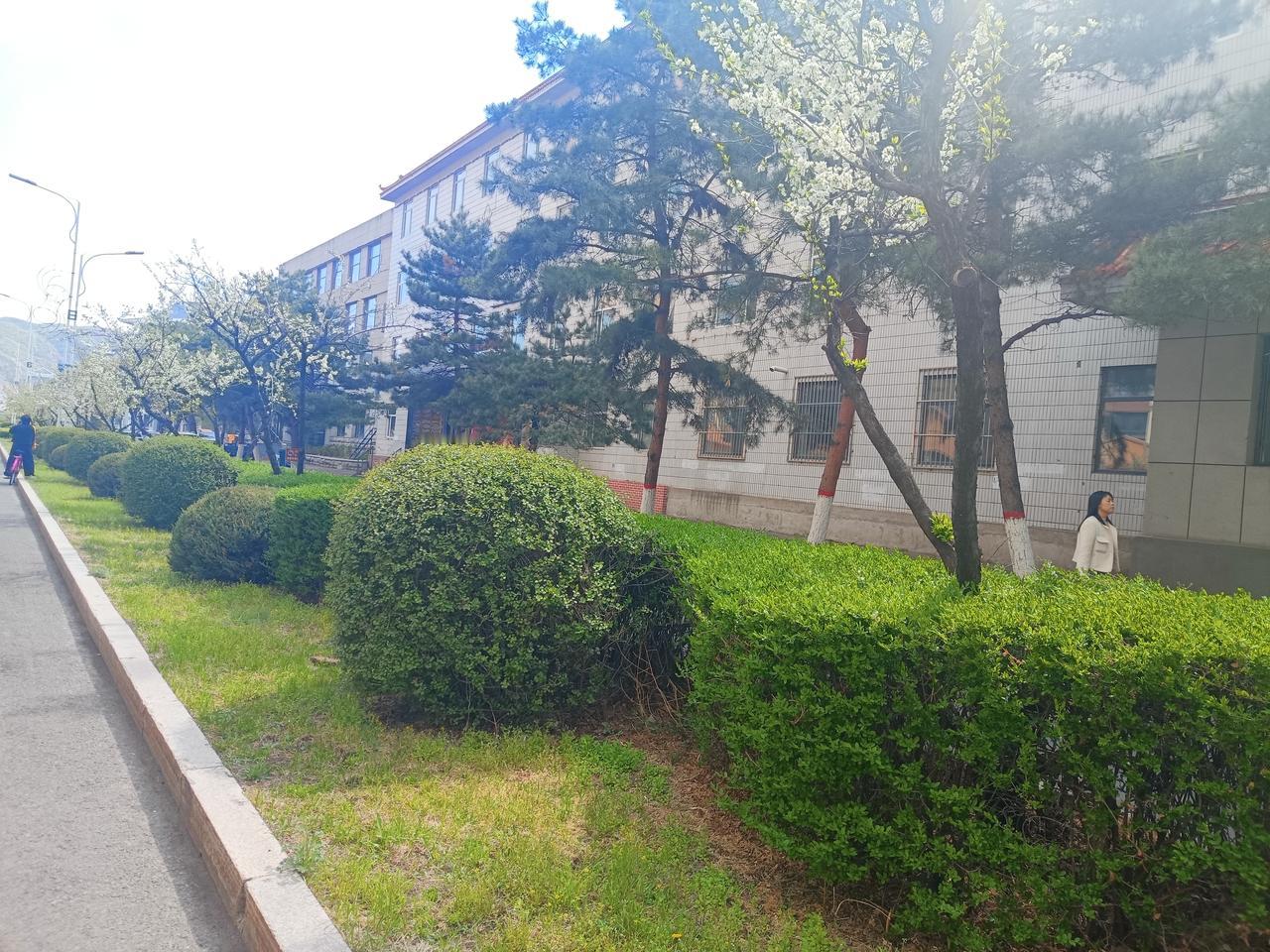 谁有拍的很好的风景照分享一下
