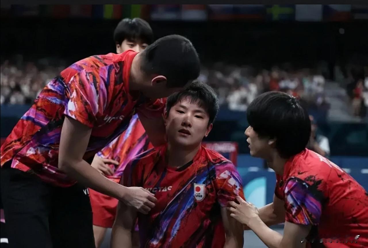 太狂了！日本男乒团2-3不敌法国，有三个可笑事实不可否认！

1、男单被樊振东翻