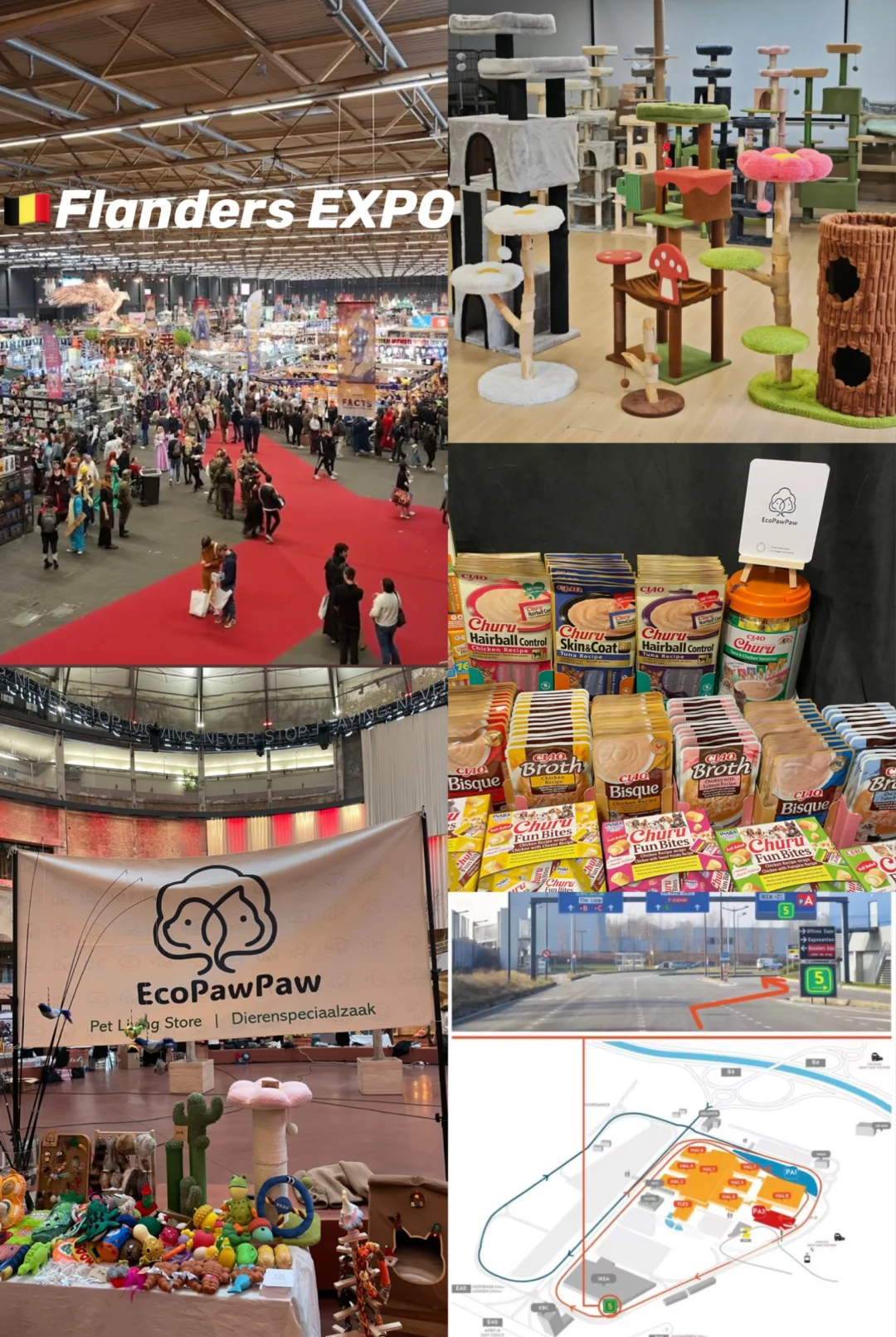 🎪本周末｜在🇧🇪也能买到「猫狗界爱马仕」