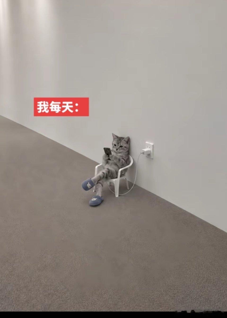 分享图片 ​​​
