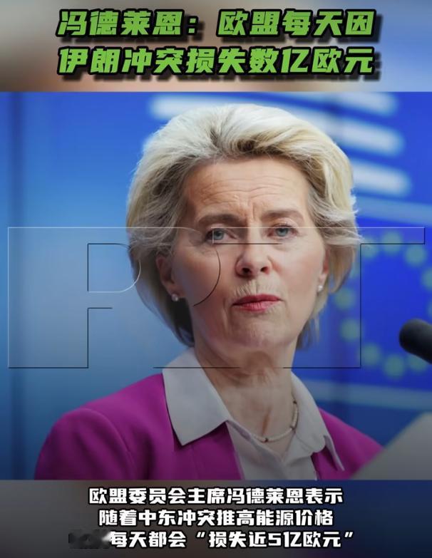 每天5亿欧元打水漂，欧盟这轮能源账单有多吓人

欧盟委员会主席冯德莱恩表示，随着
