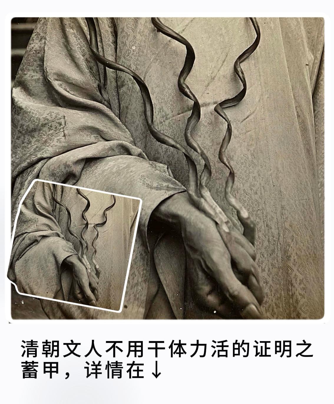 清朝文人不用干体力活的证明之蓄甲 这张老照片是清朝时期福州一教书先生...