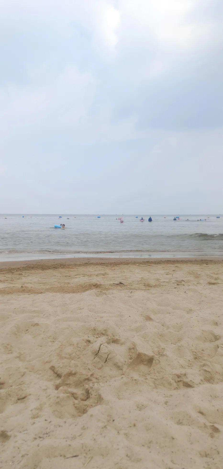 黄金海岸的海滩边，没看见海蜇，浪也不大，有人带狗下海游泳，虽然不讨厌够，但是带狗