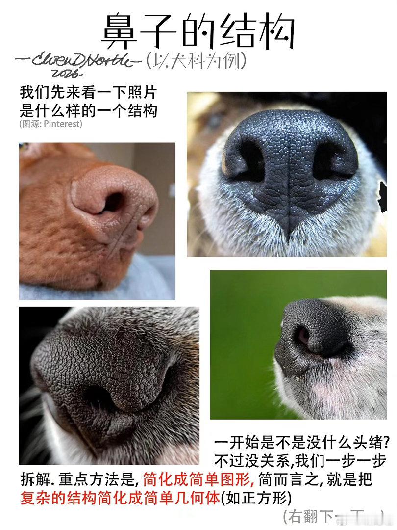 画小动物鼻子焚决 ​​​