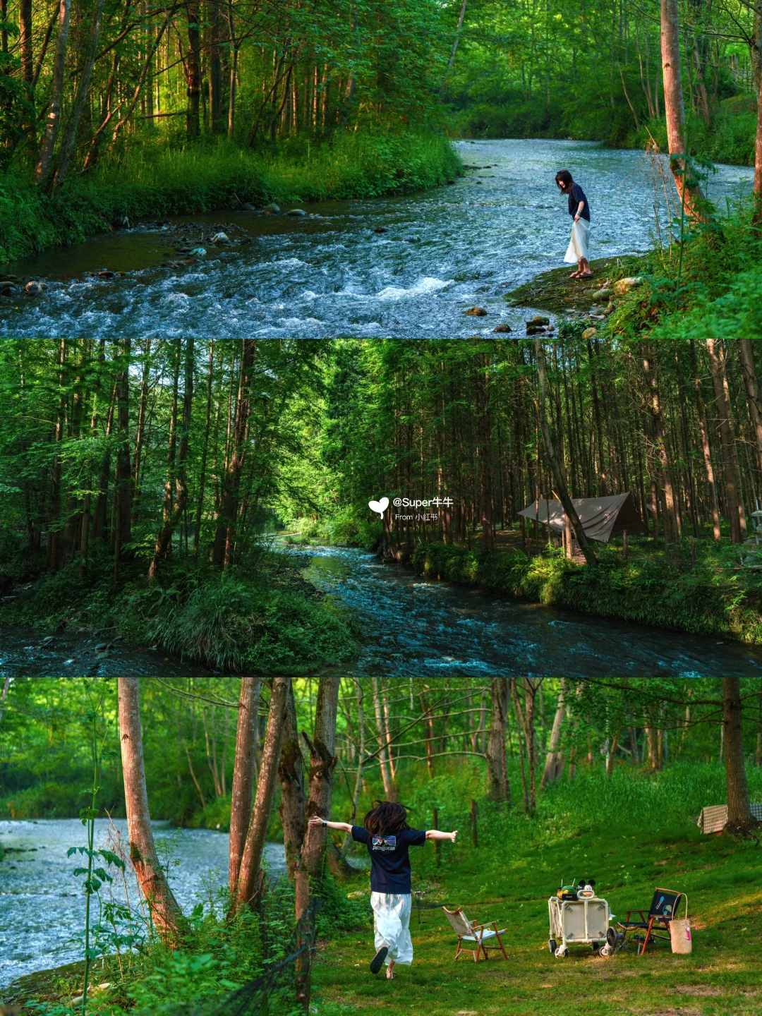成都周边2h✔️我心中的溪边露营地🌳天花板❗️