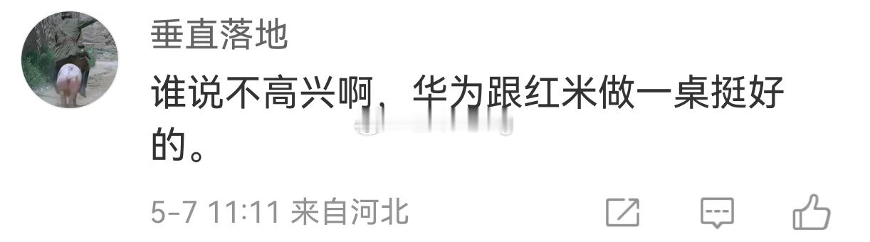 确实，我认为有道理红米以前是主打性价比等华子打性价比的时候那不就回来了吗挺好挺好