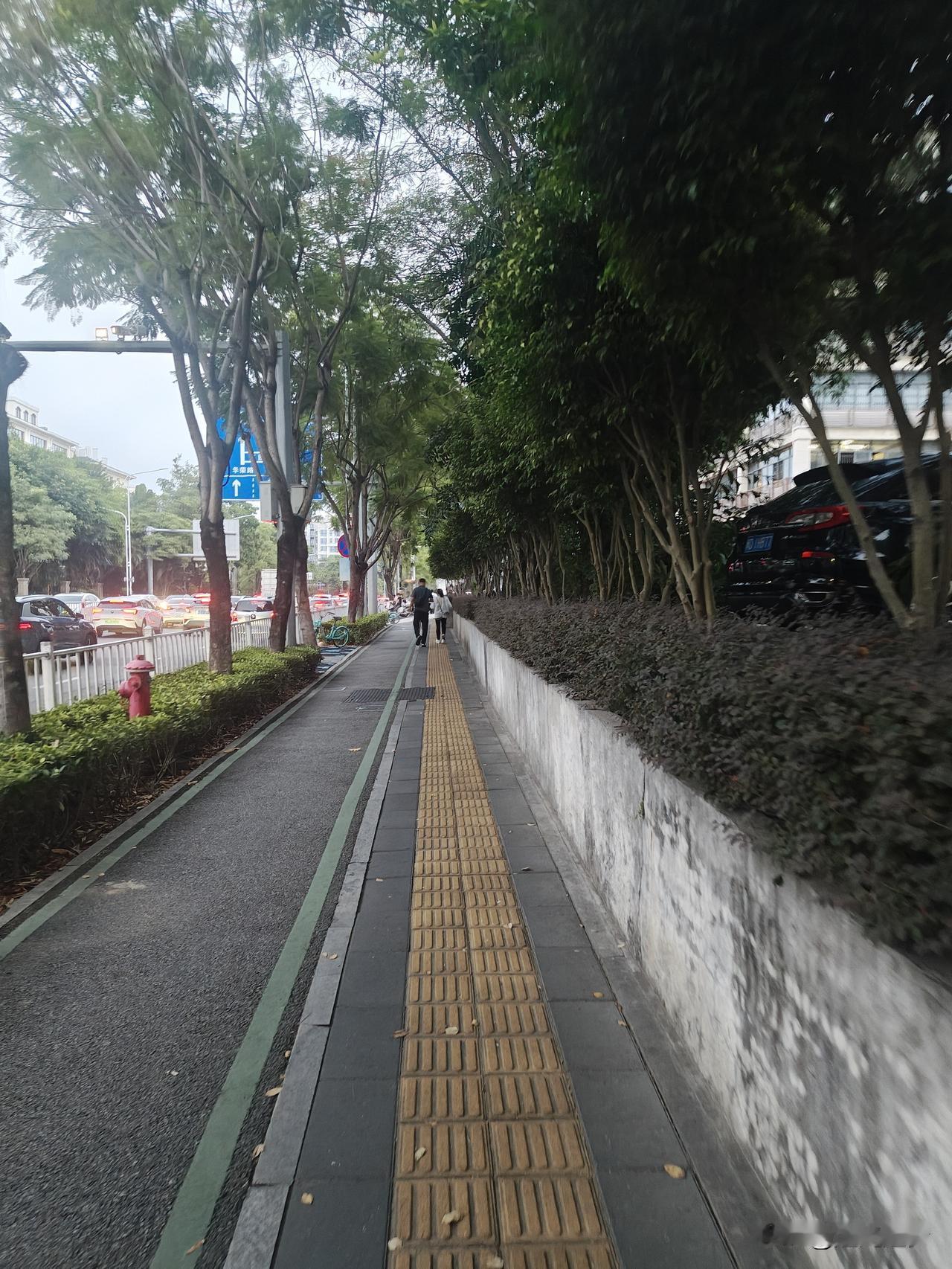 一张图记录深秋深秋天朗风清，树叶染满金黄，捕捉落叶与落日，珍藏这一季安静厚重的秋