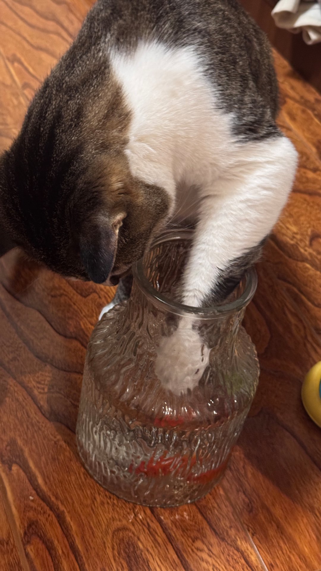 签到签到签到小坏蛋也是有玩的了           