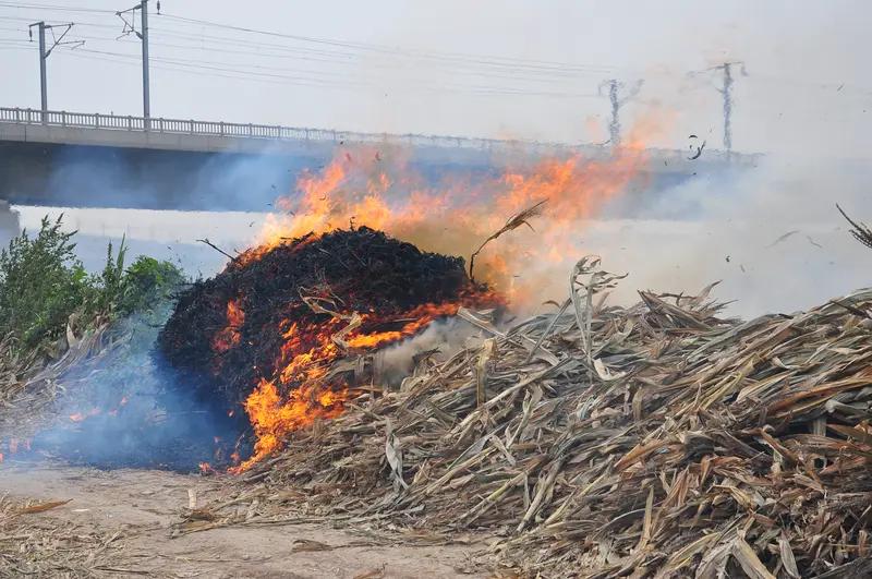 秸秆焚烧是空气污染的罪魁吗？这还真不好说。
焚烧秸秆时，浓烟滚滚，确实会释放大量