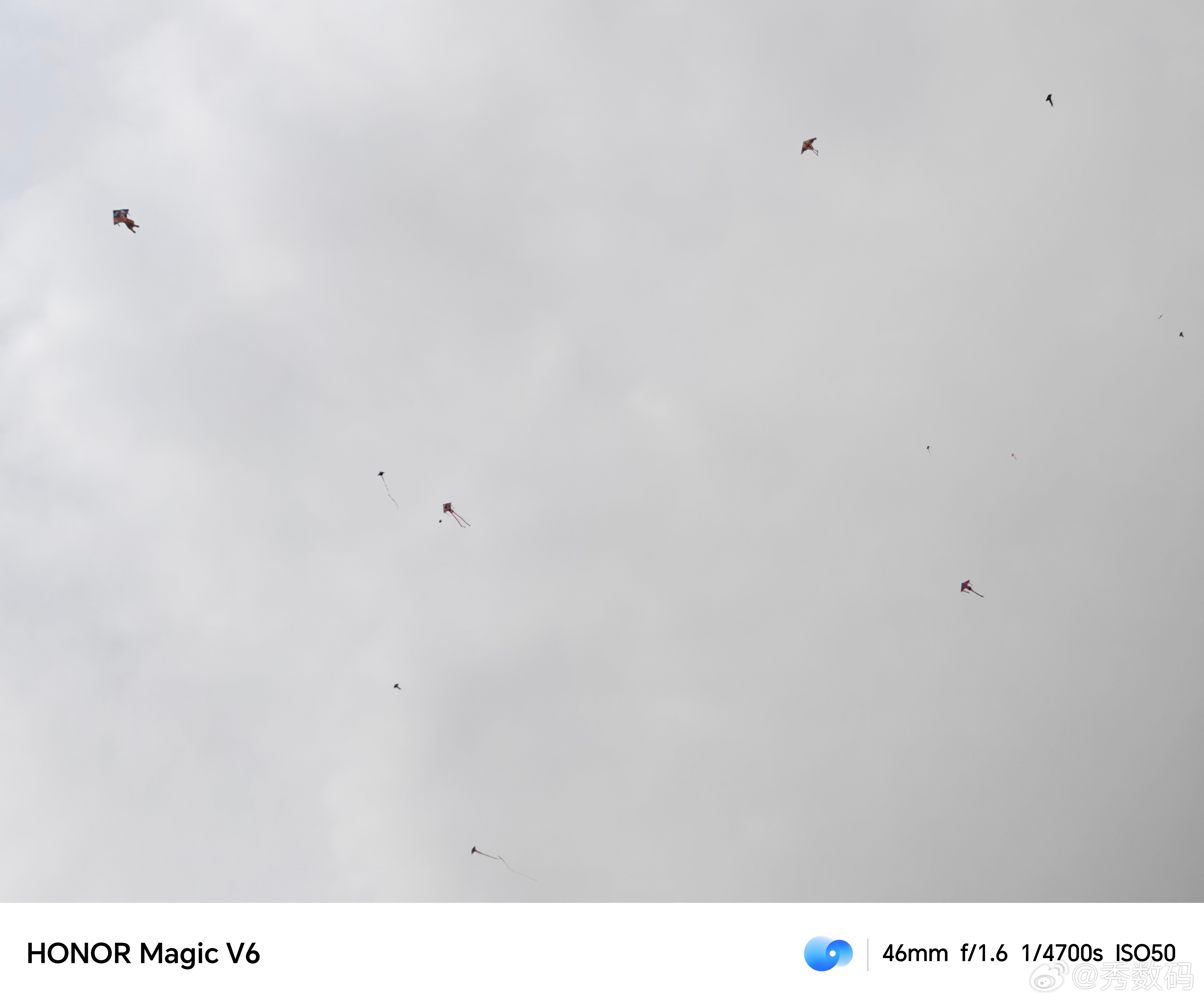 好多人放风筝～ 