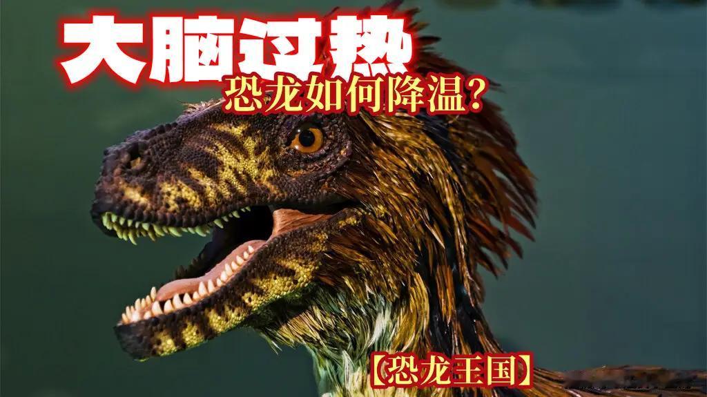 脑洞大开！恐龙自带鼻腔“散热器”，专门给大脑降温
  我们人类天热可以吹空调、喝