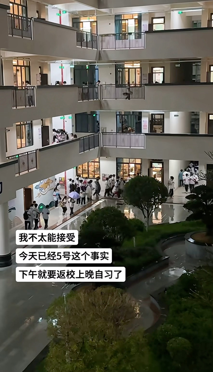 “5号，晚自习——这两个词连在一起，足以构成我整个下半年最恐怖的惊悚片预告。” 