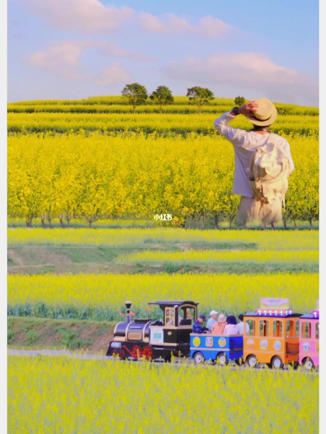 《关于我在深圳闯入了动漫里的世界》