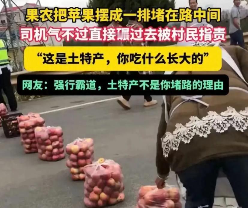 云南昭通火了，果农将苹果排到路上强卖。从这一事件不难看出当地政府的庸政懶政不作为