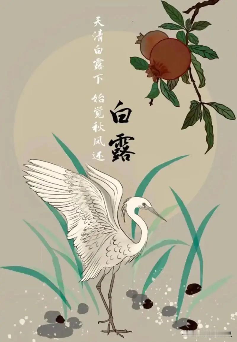 白露过后，为什么民间讲究“秋冻”，但是不能盲目冻？
一年有 24 个节气。用一首