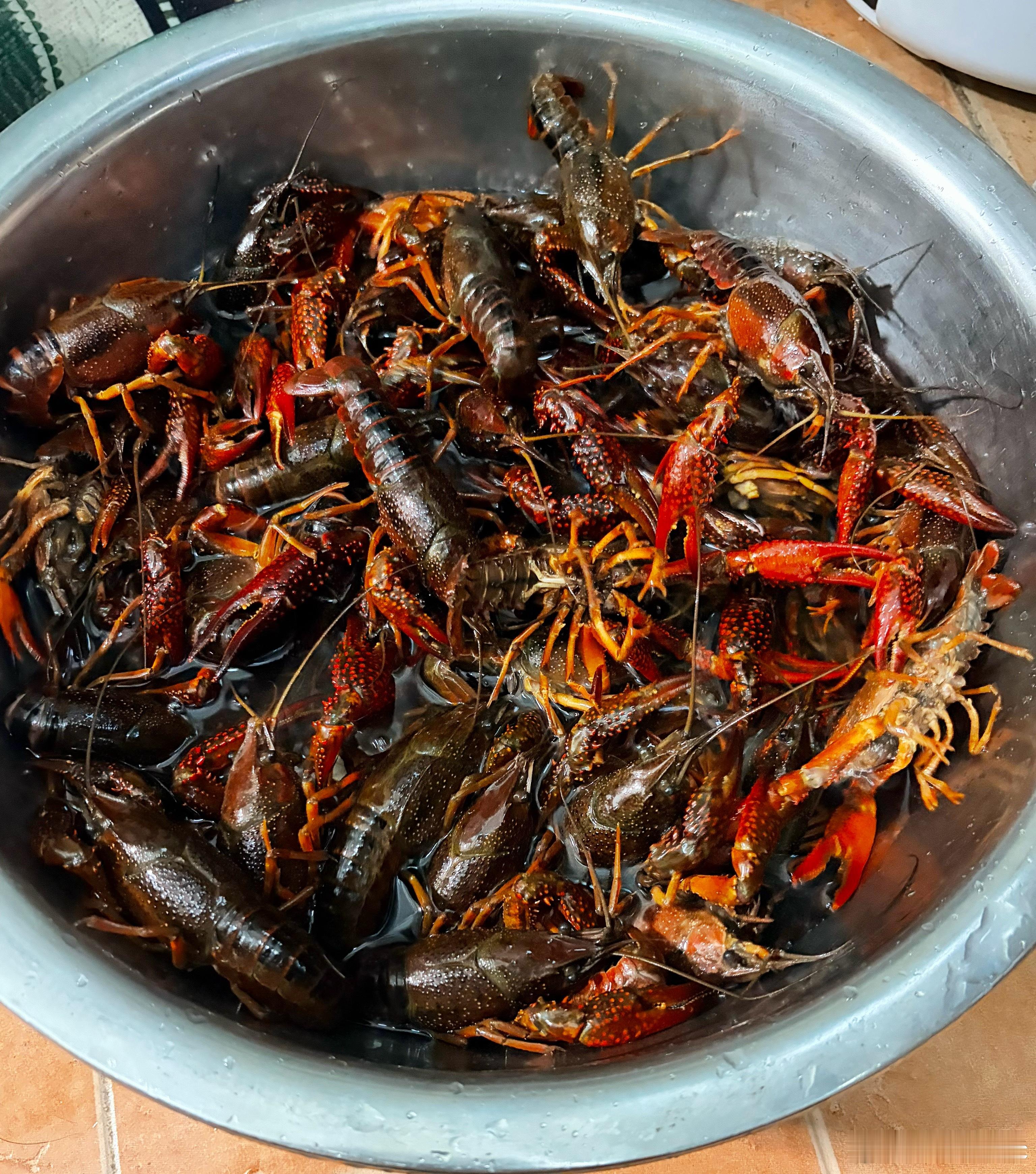 宝爸做的小龙虾🦞，今晚🦞自由～ 