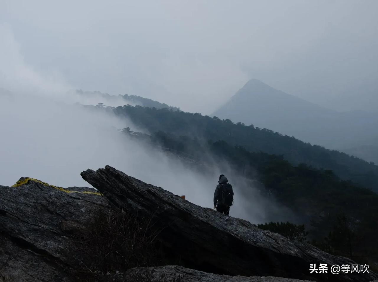 快来看看我新换的主页背景吧