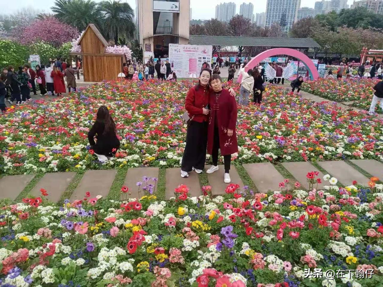 今天是三八节，去成都漫花庄园里看花的人络绎不绝。此时正值花期，樱花如云，郁金香亭