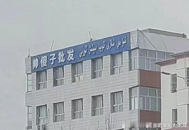 新疆的店名永远在我的笑点上 