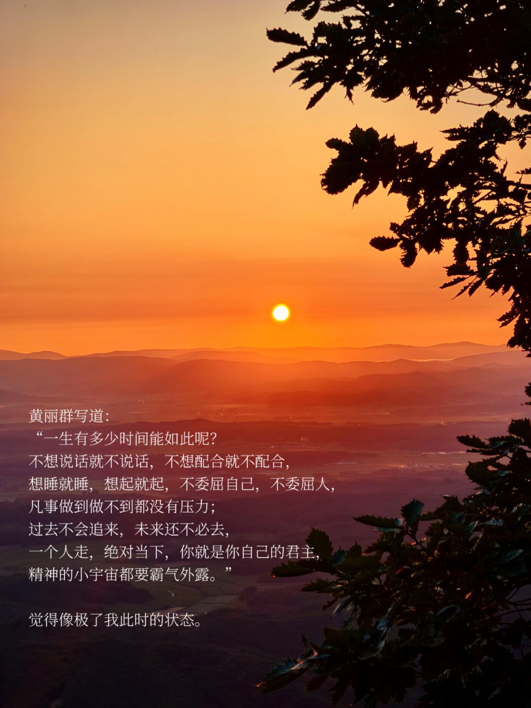 “世上没有什么比「自顾自」更舒服的事了”我总是会时不时地想起黄丽群在《我与狸奴不