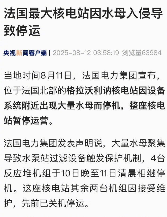 【法国最大核电站因水母入侵导致停运】#水母入侵法国最大核电站停运# 当地时间8月