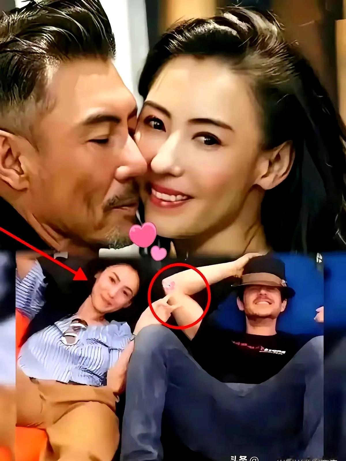 明星感情本就多元。
最近看到张柏芝和年长15岁的新加坡男友同框，评论区都在讨论