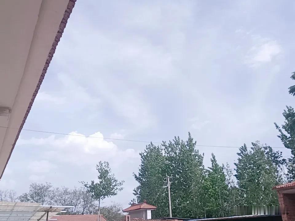 今年春天最想实现的心愿 今年春天，我最想实现“阳光明媚春暖花开”的美好心愿。
首