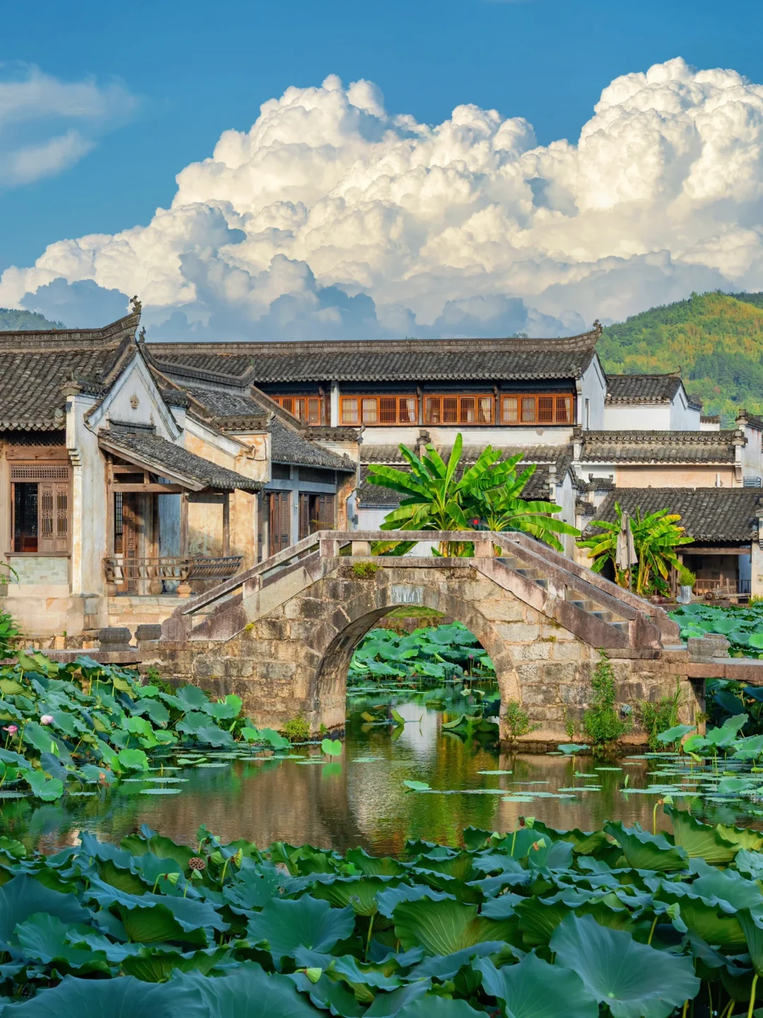 以为绍兴已经够美了，直到我去了安徽呈坎