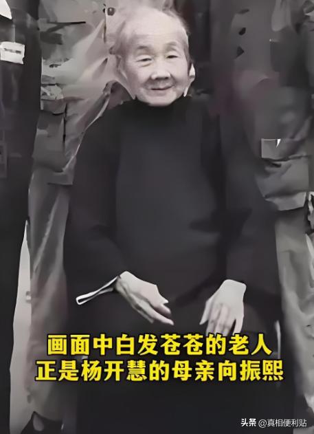 解放后，杨开慧的母亲向振熙老人跪地痛哭，她哭的不是逝去的女儿，而是替那个隐忍二十