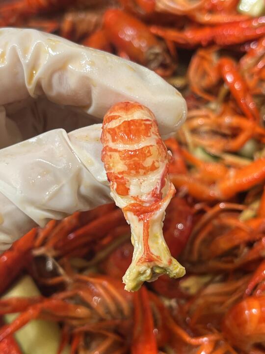 柳州｜小龙虾推荐🦞