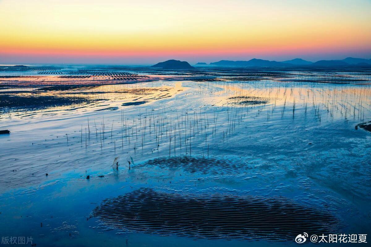 春天已至，遇见的皆是风景，诗情画意任你采撷～ 