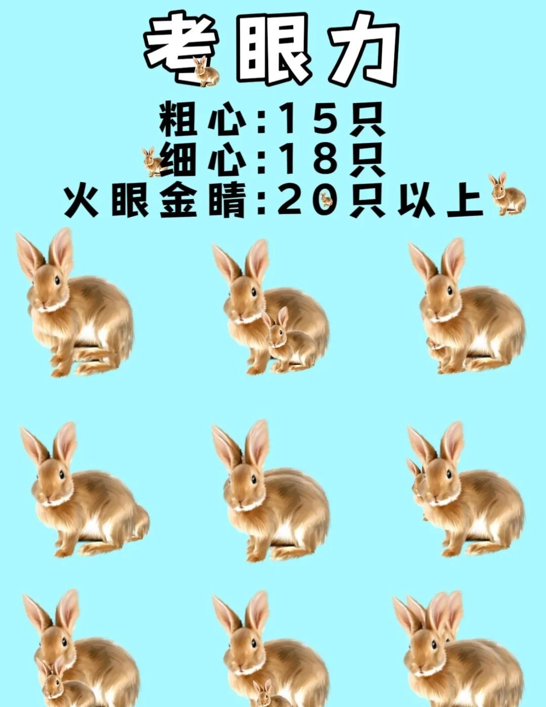 99%的人找不到第22只