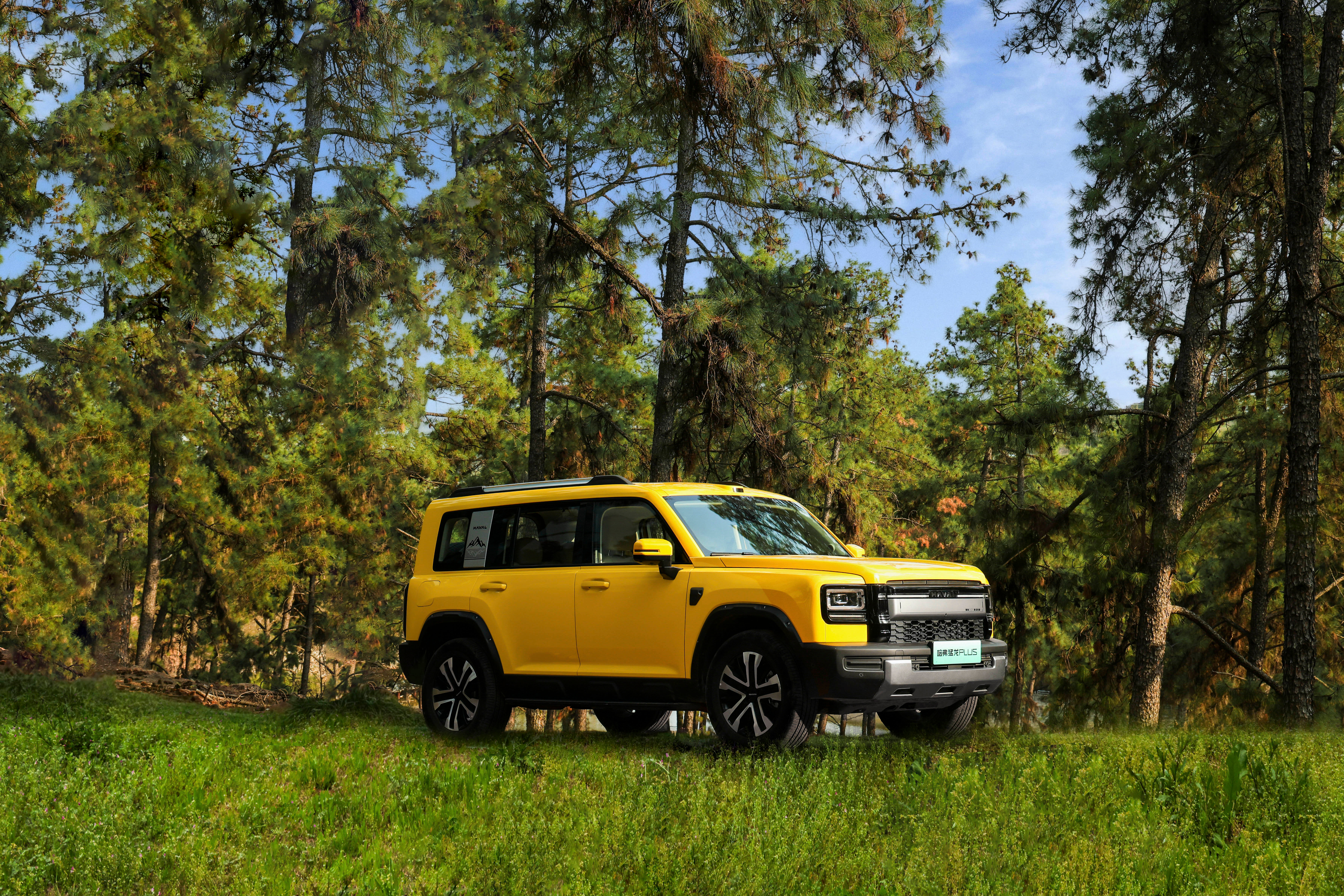 竞技体育一定要有规则，不管是NBA还是其他，汽车行业也是一样。奥运冠军王濛也表示