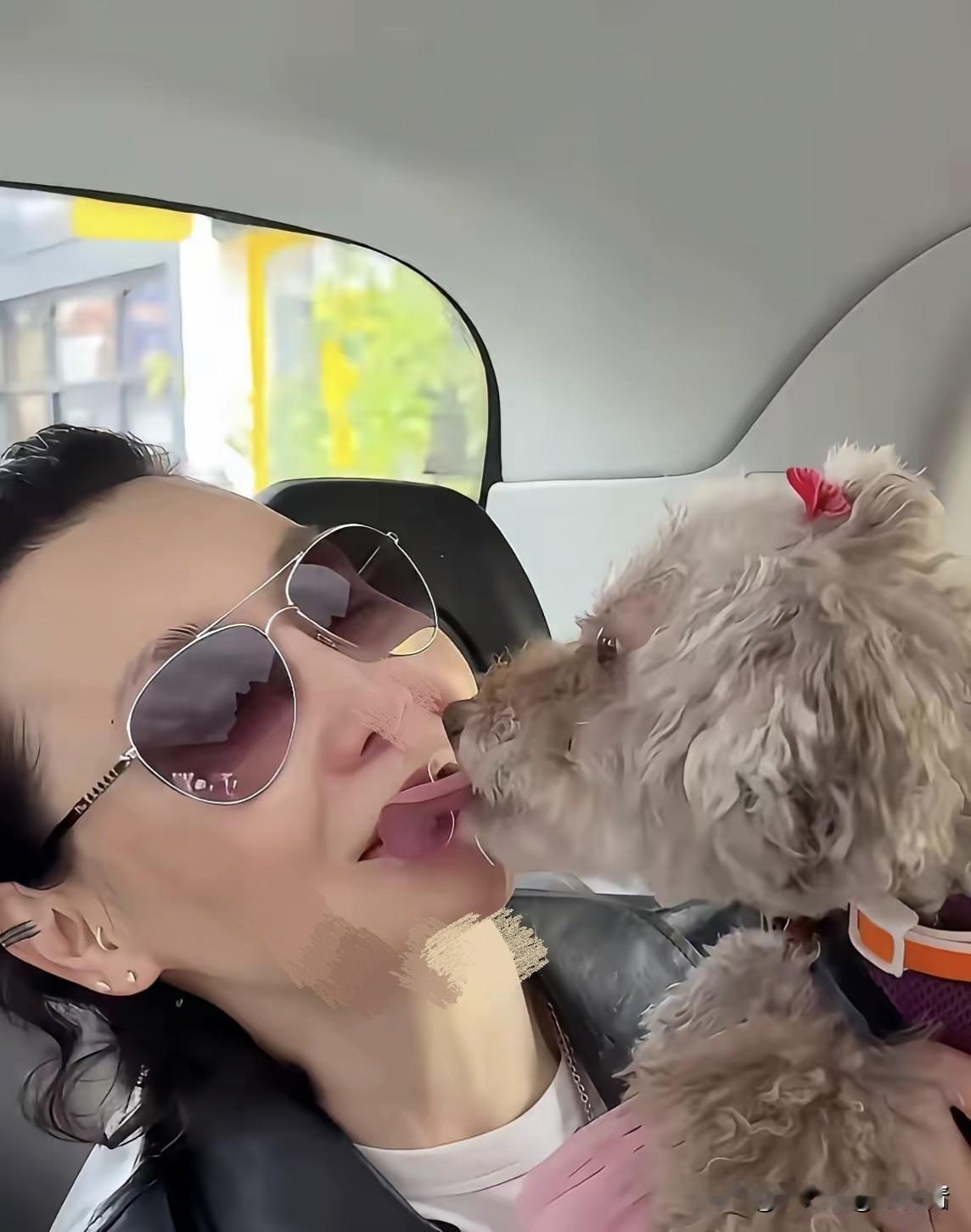 猫咪狗狗是用舌头舔屁股的，喜欢宠物不是问题，达到这种程度就不正常了！这是网友跟帖